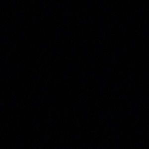 Meet your Posher, Allen